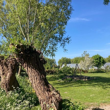 Appels En Peren Bed And Breakfast Breezand Eksteriør bilde