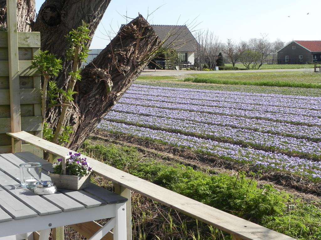 Appels En Peren Bed And Breakfast Breezand Rom bilde