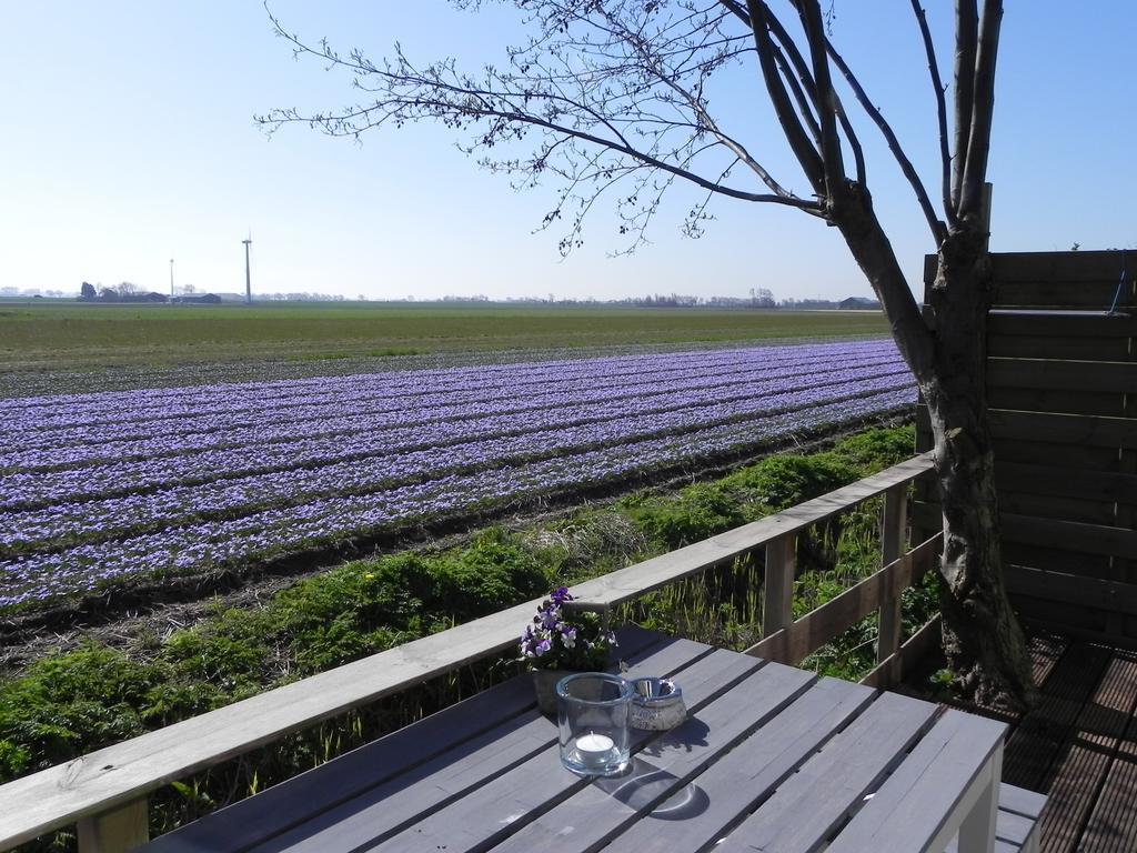 Appels En Peren Bed And Breakfast Breezand Rom bilde