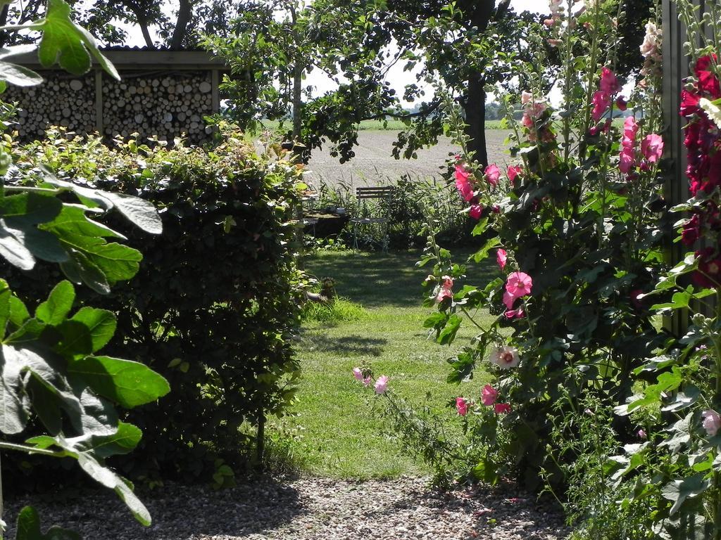 Appels En Peren Bed And Breakfast Breezand Rom bilde