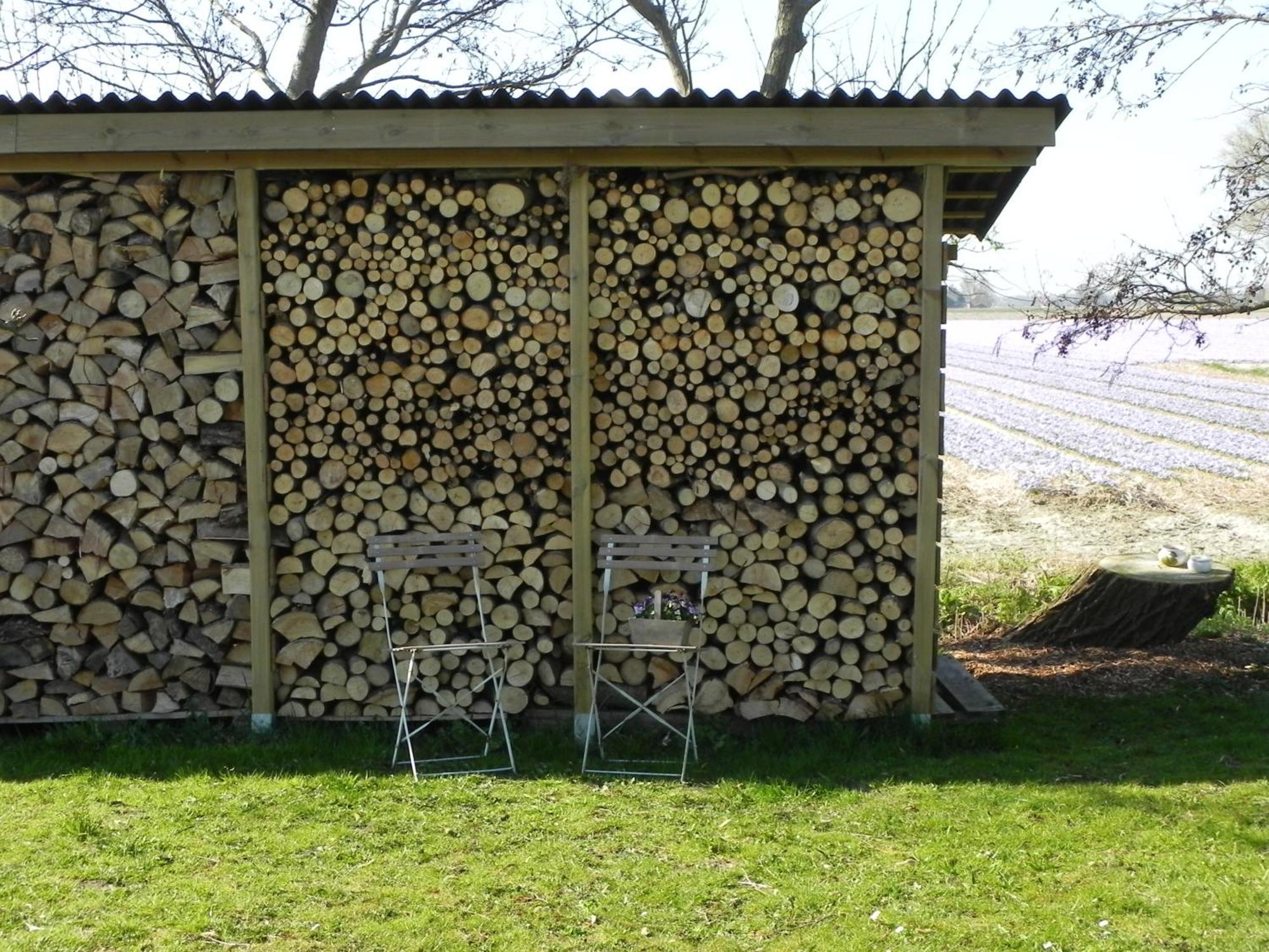Appels En Peren Bed And Breakfast Breezand Rom bilde