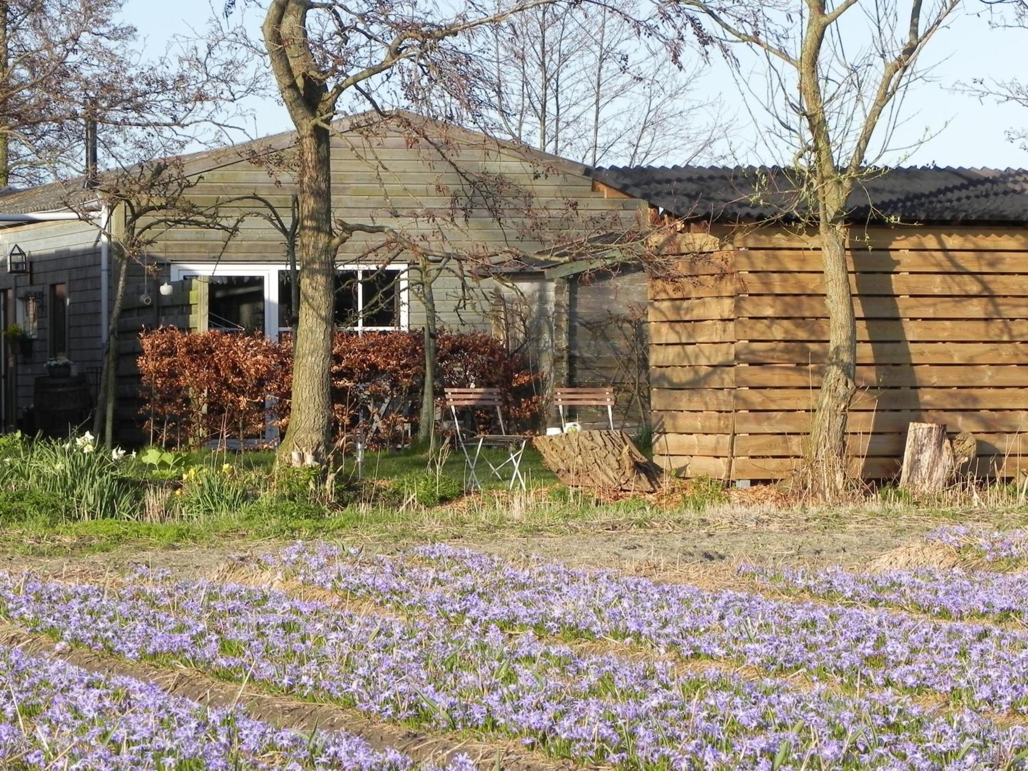 Appels En Peren Bed And Breakfast Breezand Rom bilde