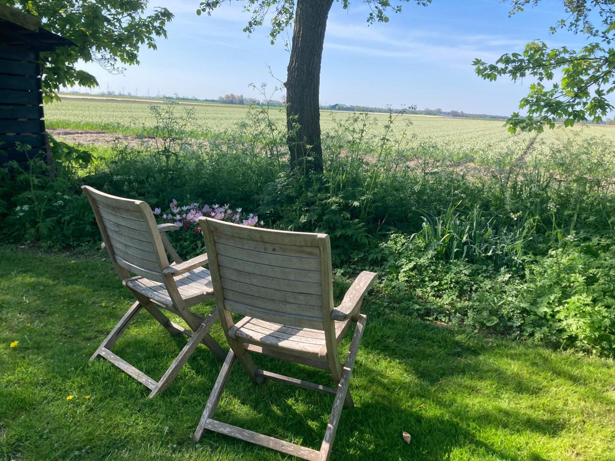 Appels En Peren Bed And Breakfast Breezand Eksteriør bilde