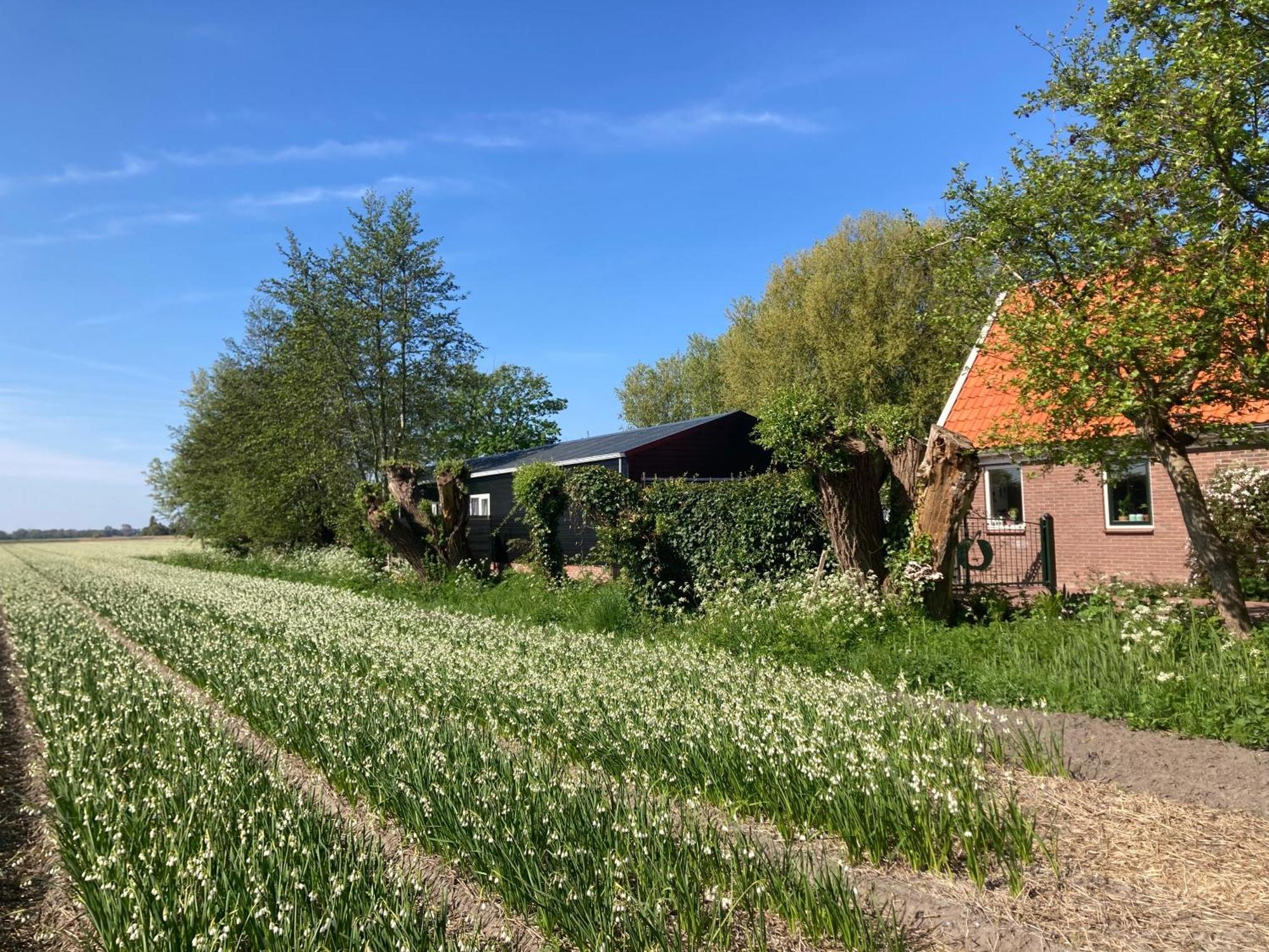 Appels En Peren Bed And Breakfast Breezand Eksteriør bilde