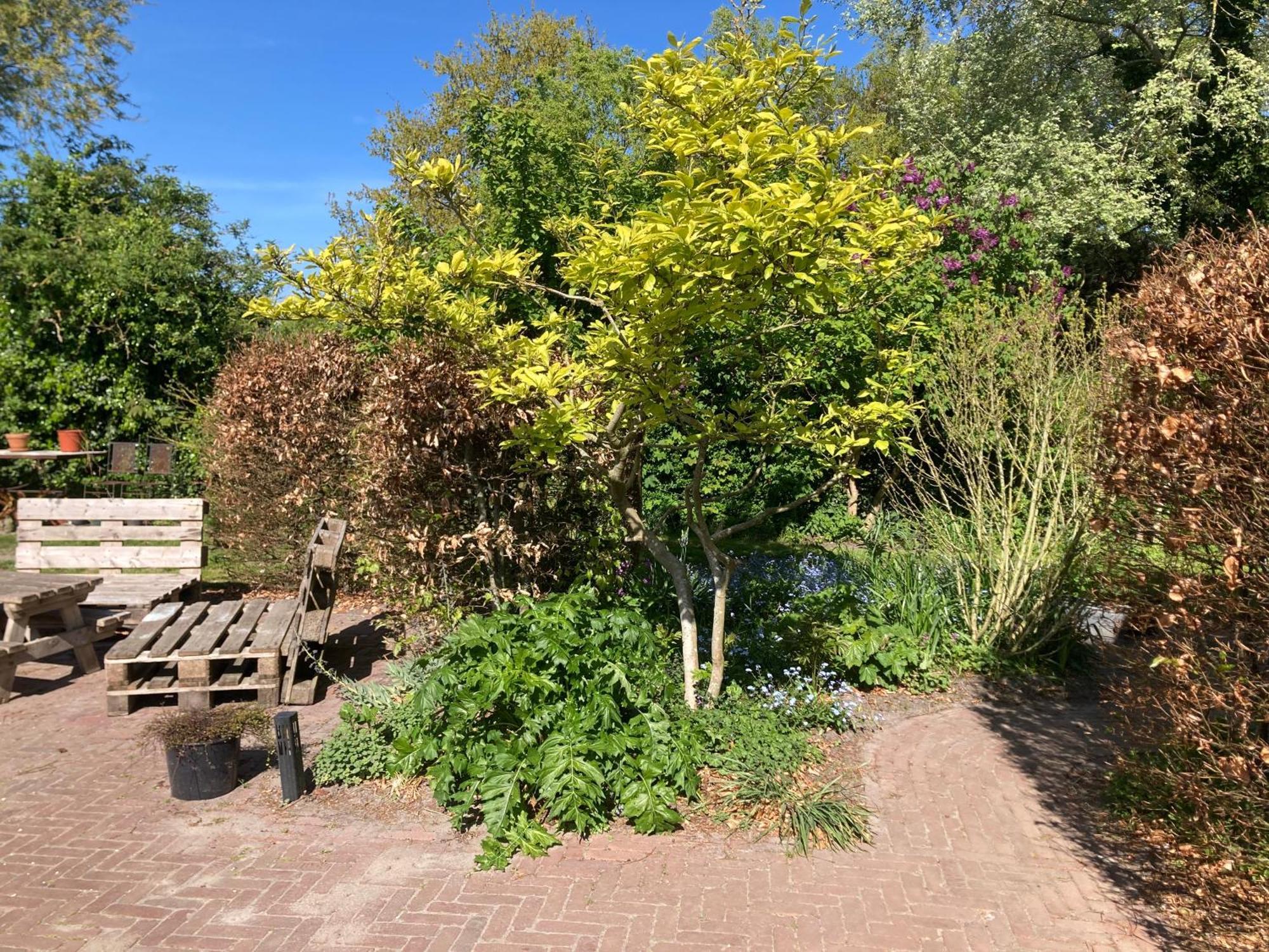 Appels En Peren Bed And Breakfast Breezand Eksteriør bilde