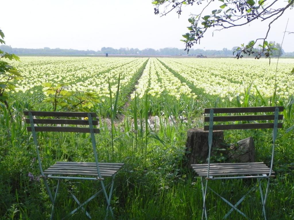 Appels En Peren Bed And Breakfast Breezand Rom bilde