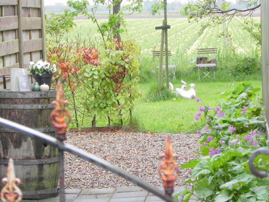 Appels En Peren Bed And Breakfast Breezand Rom bilde